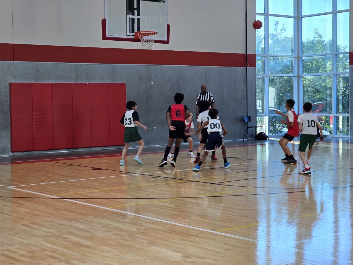 Plano Sports Authority 2