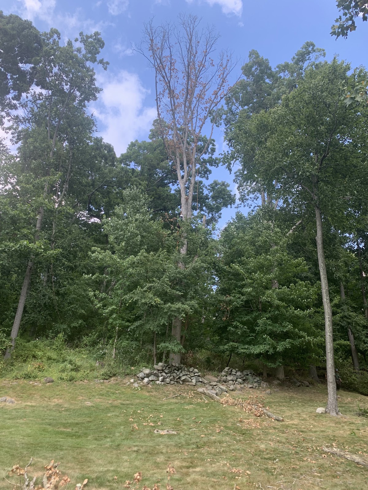 Pleasantville Tennis Club - Photo 1