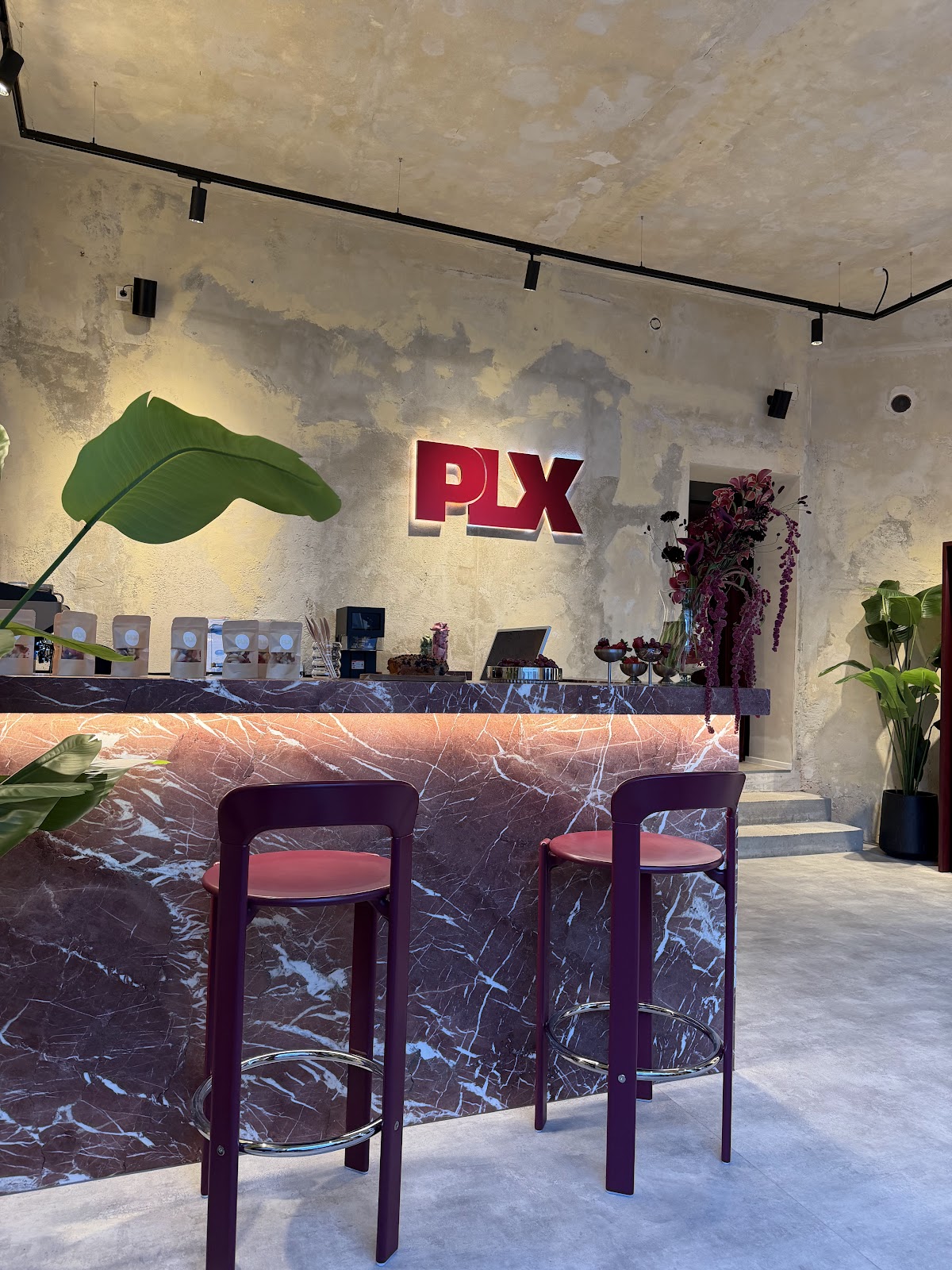 PLX Reformer Schwabing - Photo 3