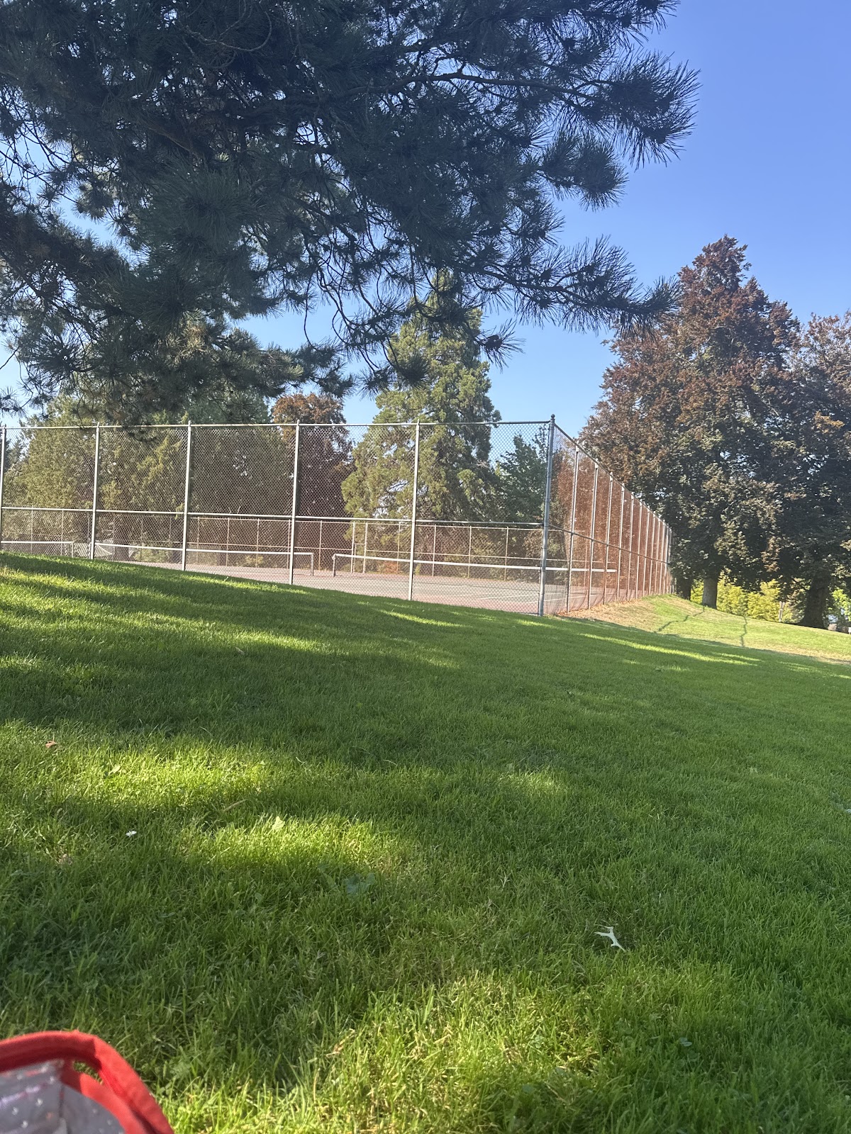 Point Defiance Tennis - Photo 3