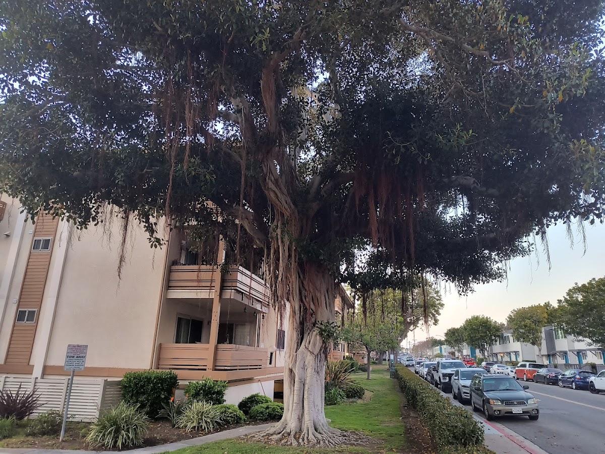 Point Loma Tennis Club Community - Photo 2