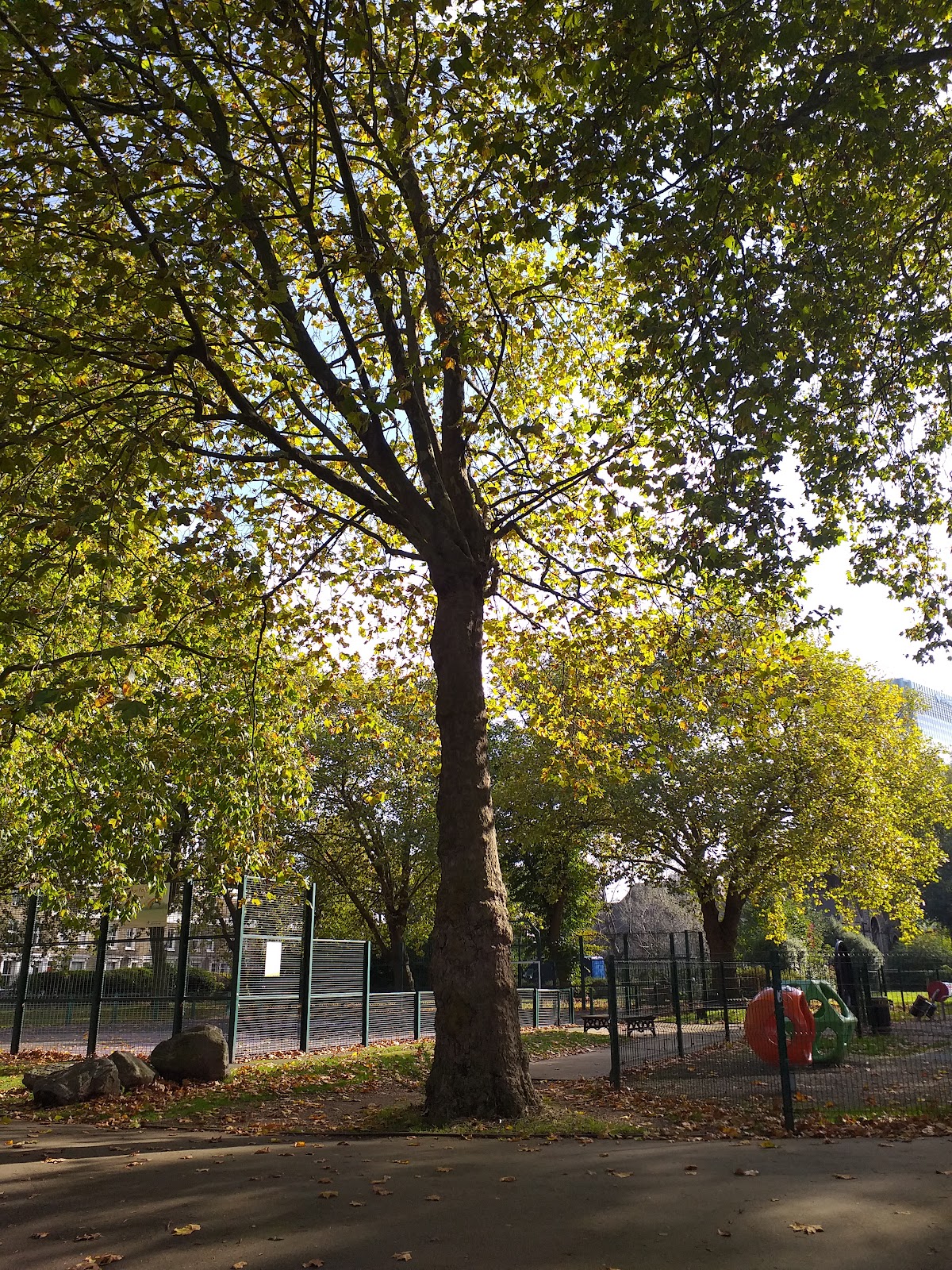 Poplar Recreation Ground Tennis Courts - Photo 2