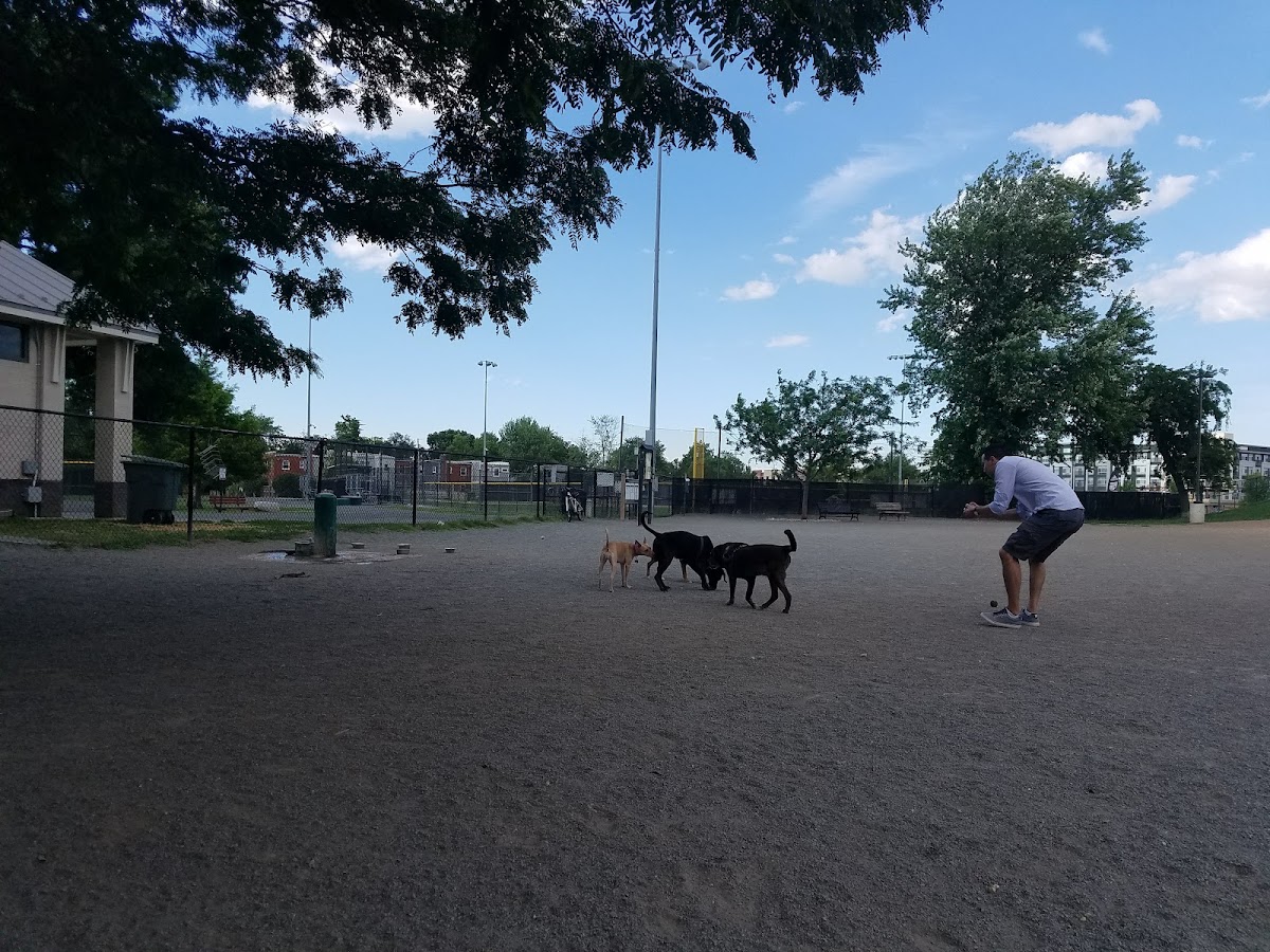 Potomac Yard Soccer Fields - Photo 2