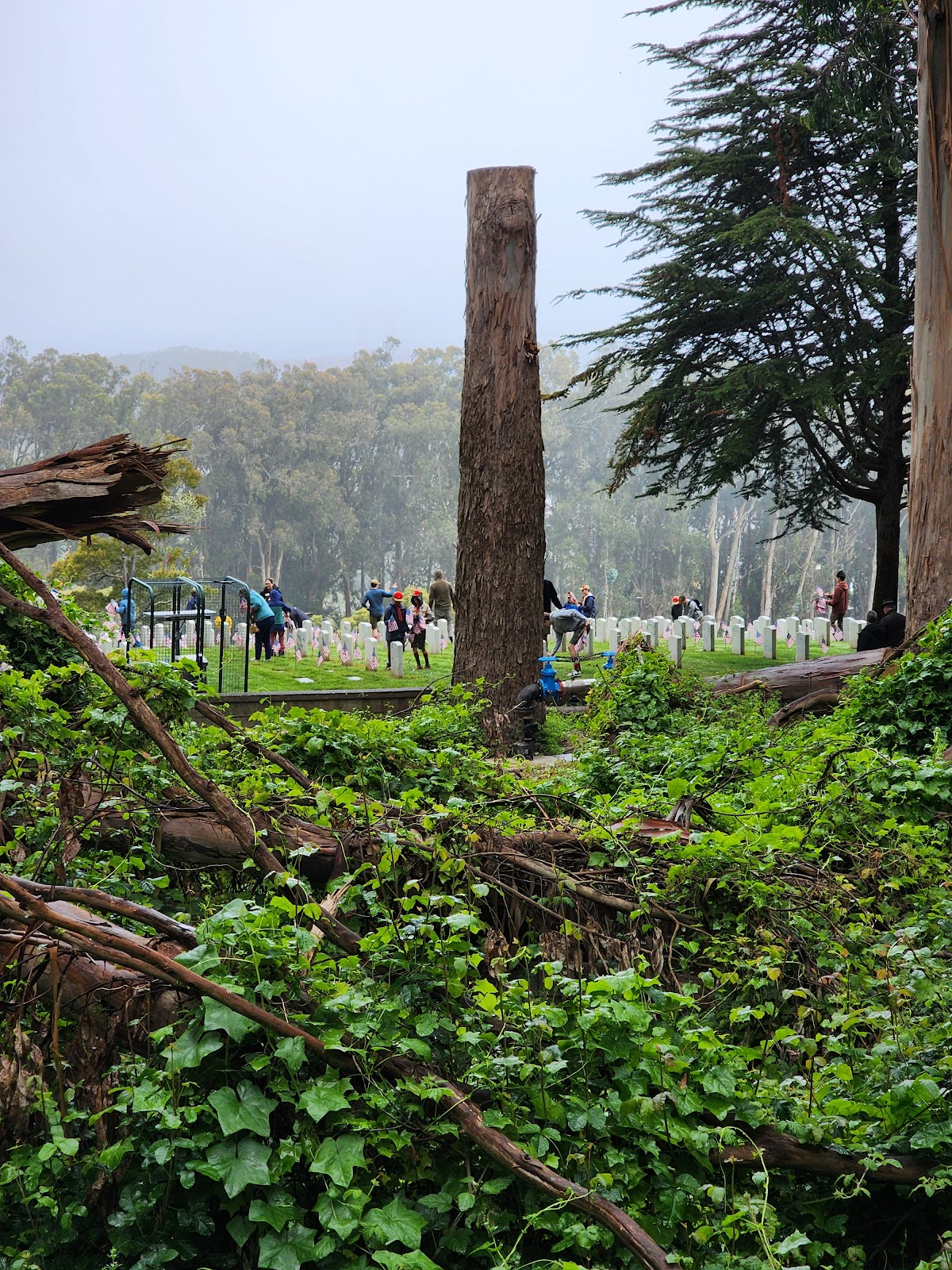 Presidio YMCA Infantry Terrace Tennis Courts - Photo 2