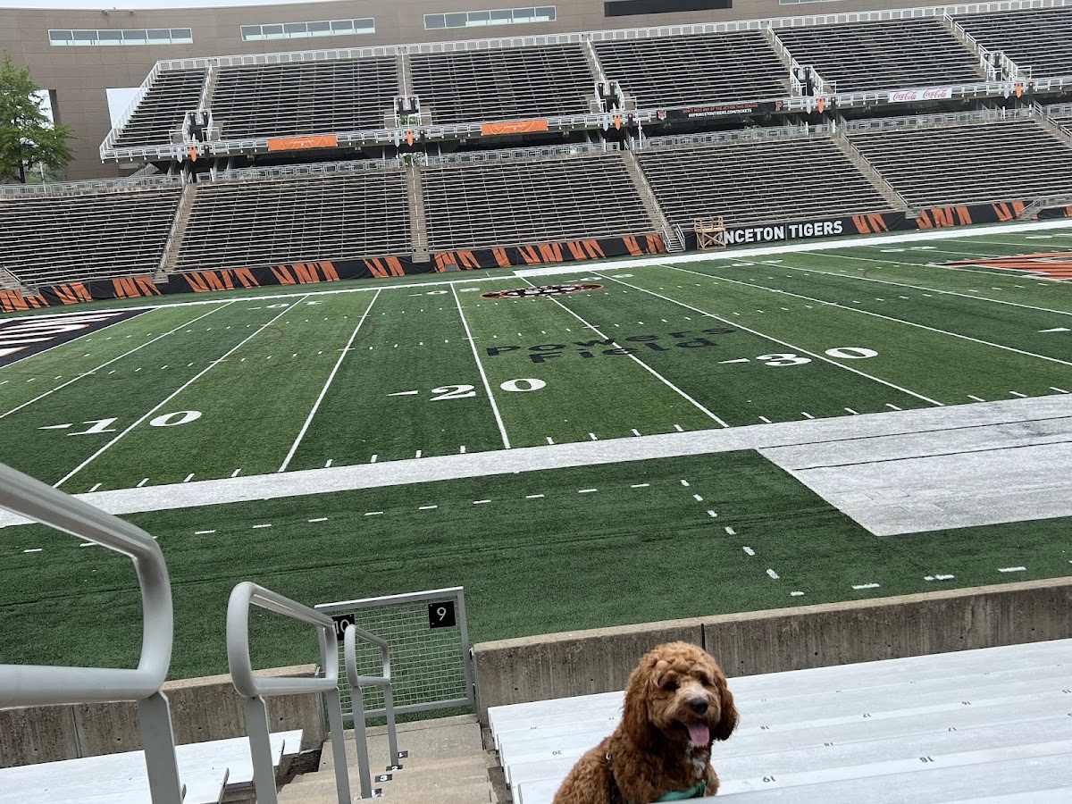 Princeton Stadium - Photo 2