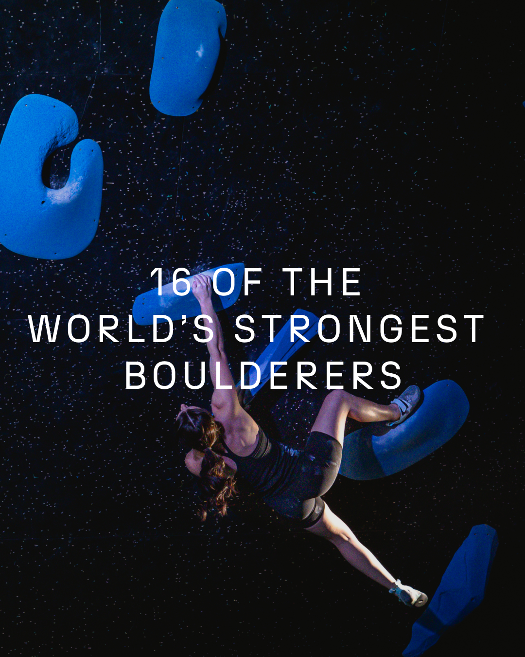 Pro Climbing League - Photo 3
