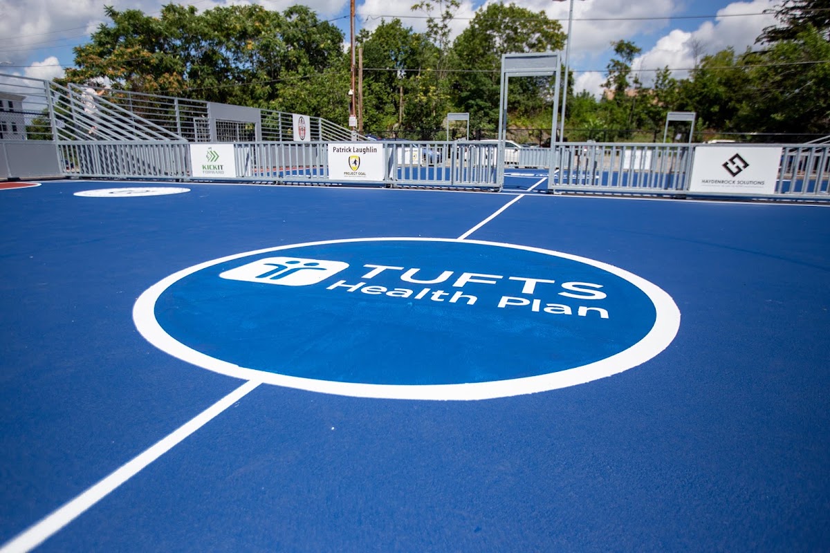 Project GOAL Mini-Pitch - Photo 1