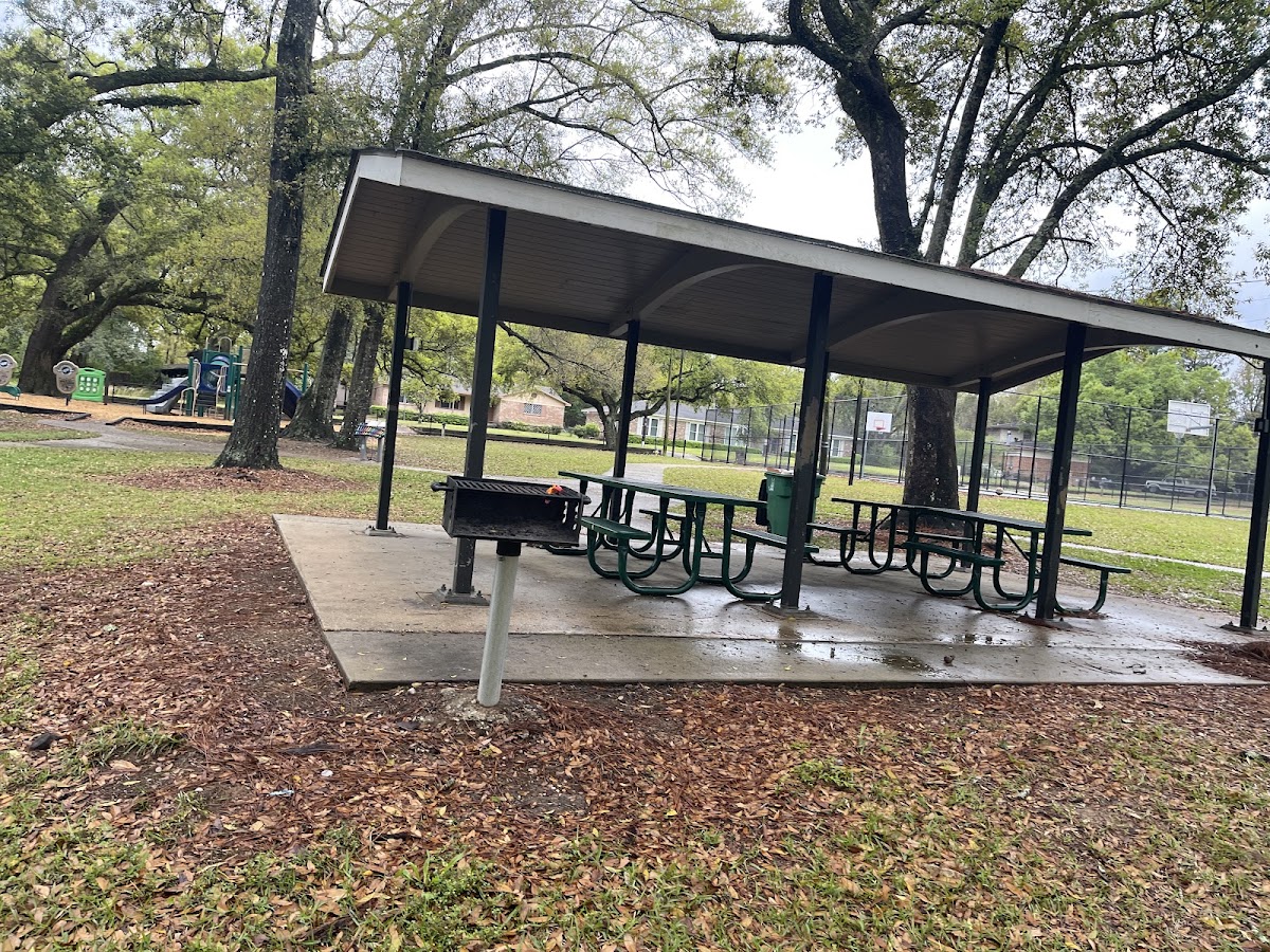 Public Pickleball Courts Stott’s Park - Photo 2