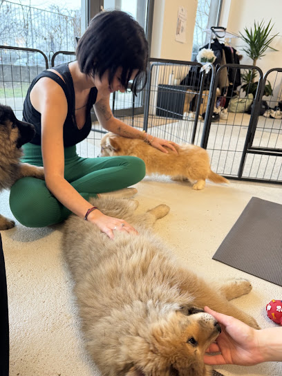 Puppies Yoga Lyon - Photo principale