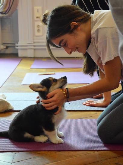 Puppy Yoga Center Bordeaux - Photo principale