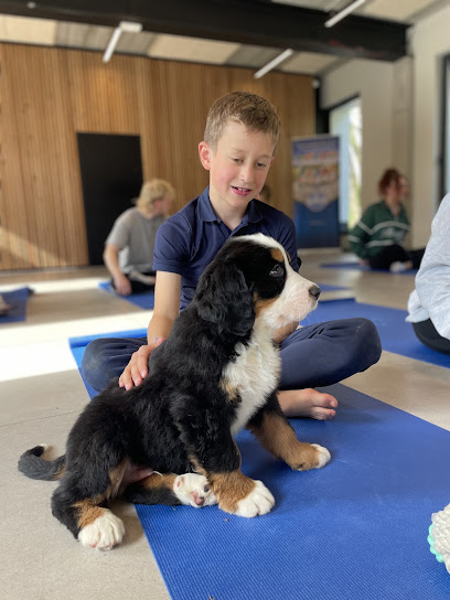Puppy Yoga Lille - Photo principale