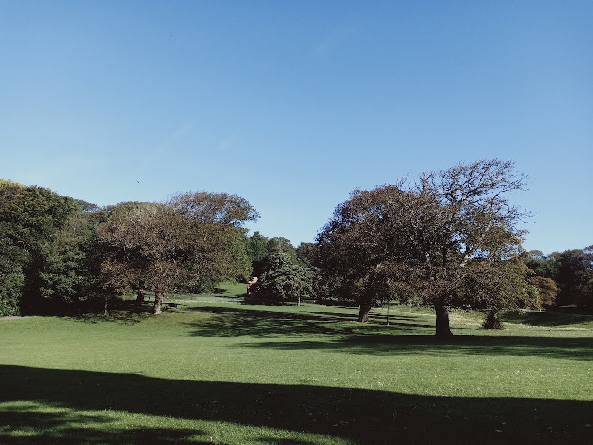 Queens Park Tennis Club - Photo 3