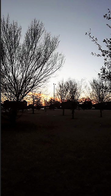 Ratliff Park - Photo 3