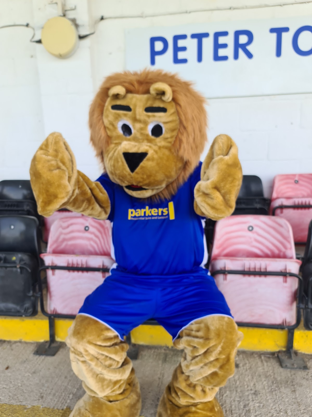 Reading City Football Club - Photo 3