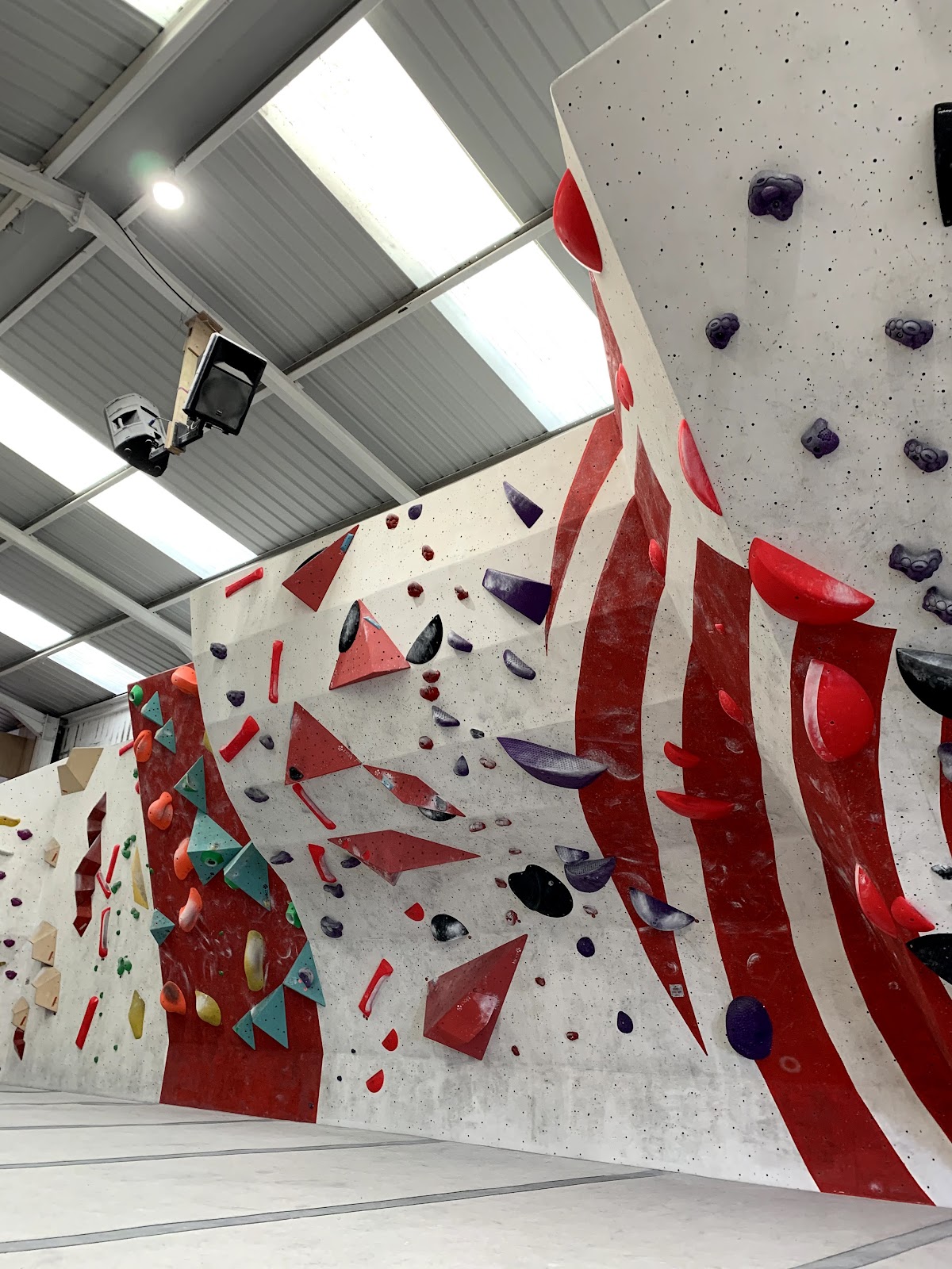 Red Spider Climbing - Photo 2