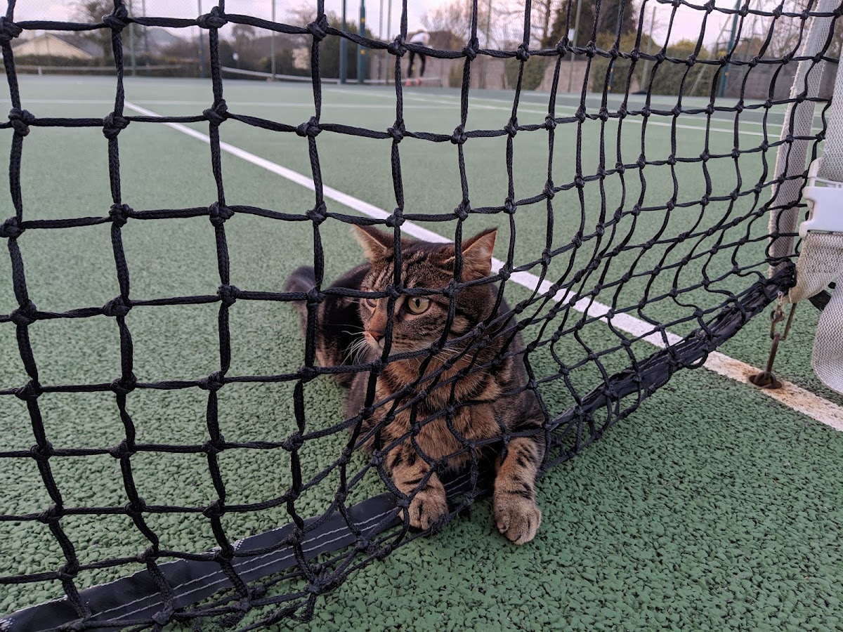 Redruth Tennis Club - Photo 2