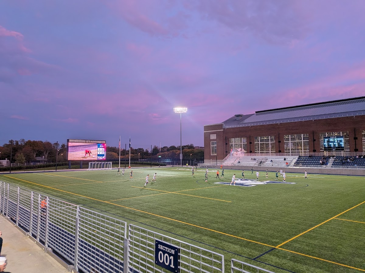 Reese Stadium - Photo 1
