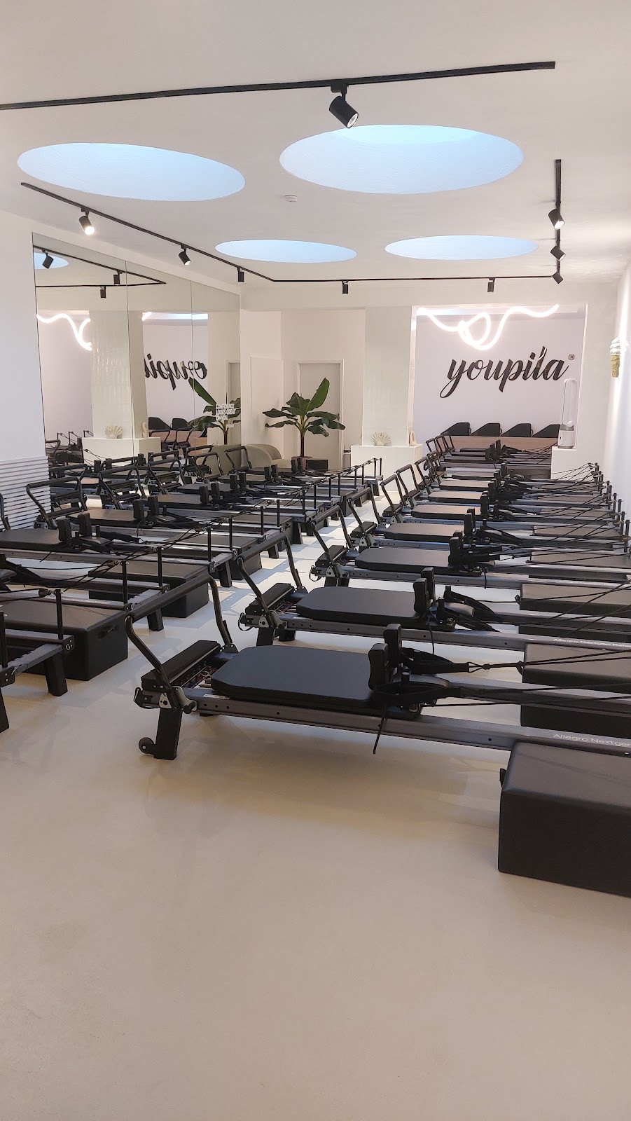 Reformer Studio Düsseldorf-Pempelfort | Youpila Studios - Photo 2
