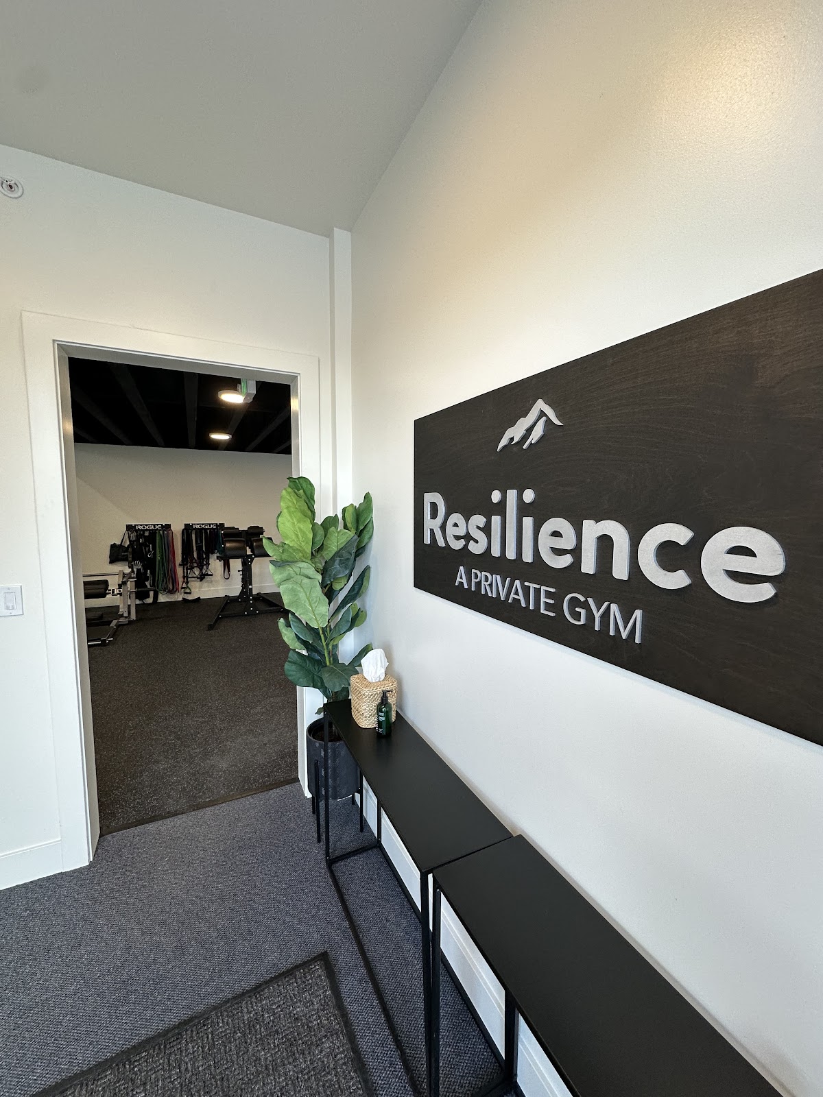 Resilience - A Private Gym - Photo 3