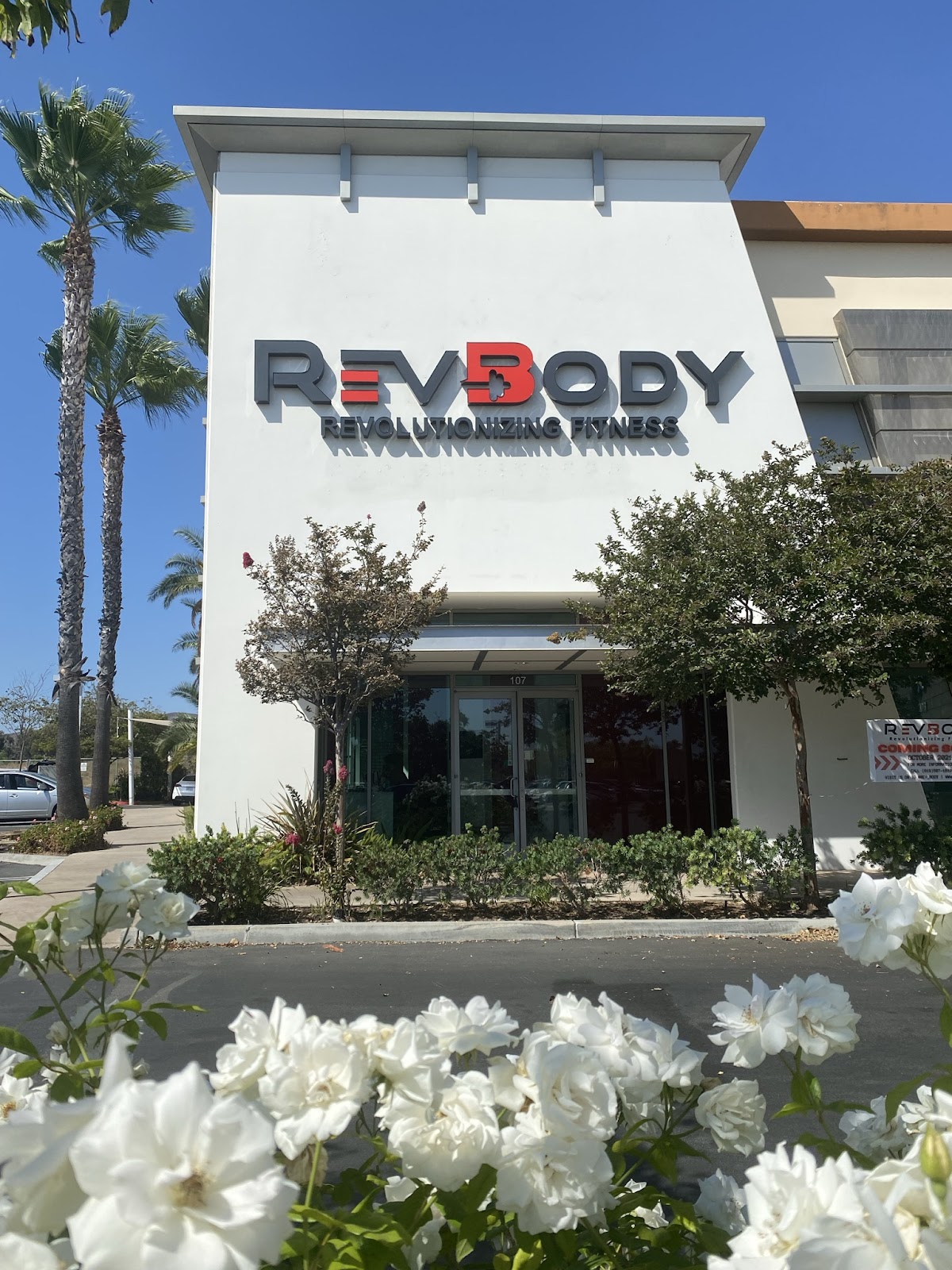 RevBody