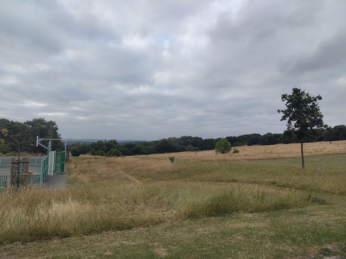 Richmond Park Climbing Boulder - Photo 1