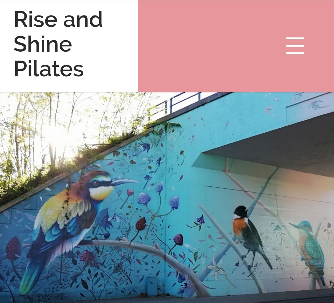 RISE AND SHINE PILATES - Photo 3