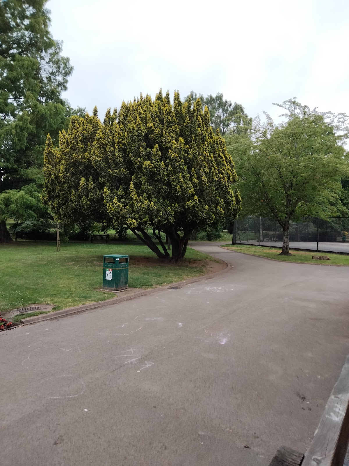 Roath Park Tennis - Photo 2