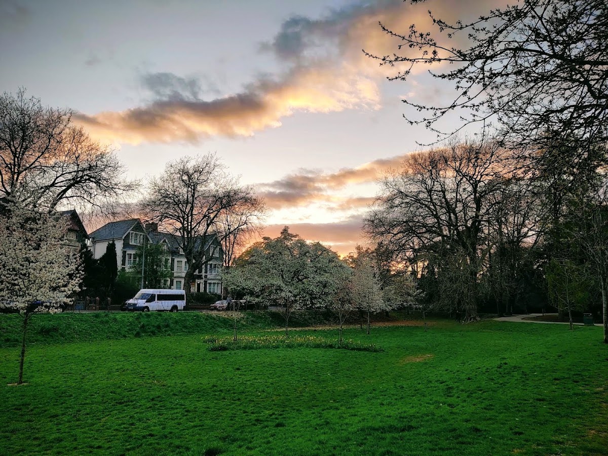 Roath Pleasure Gardens - Photo 2