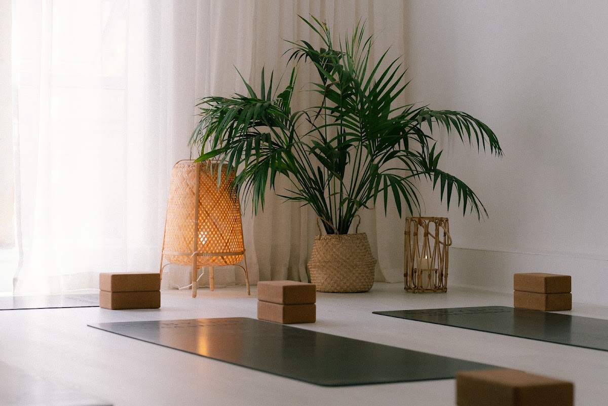 Robyn's Yoga Studio - Photo 3