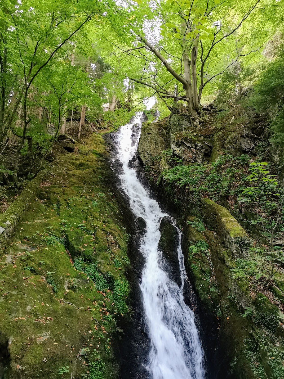 Roche Corbière - Photo 2