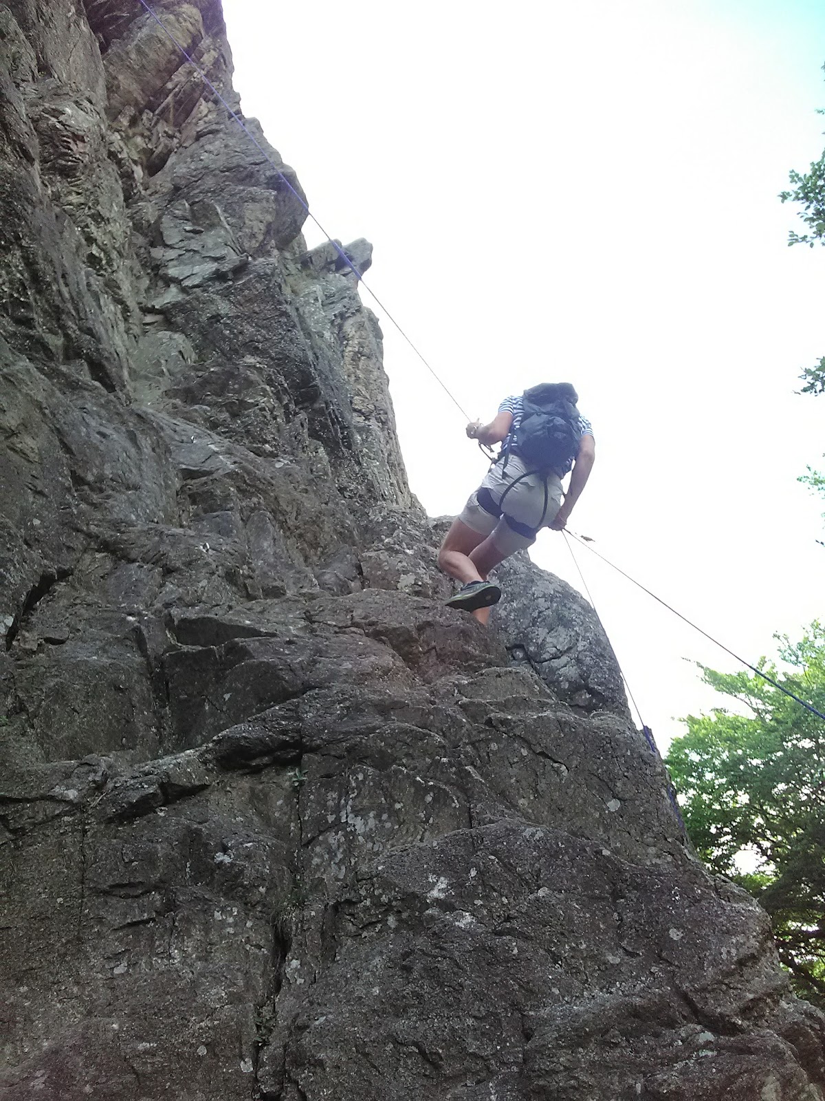Roche Corbière - Photo 3