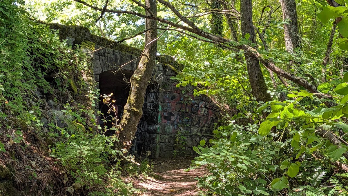 Rocky Butte Quarry Climbing Area - Photo 2