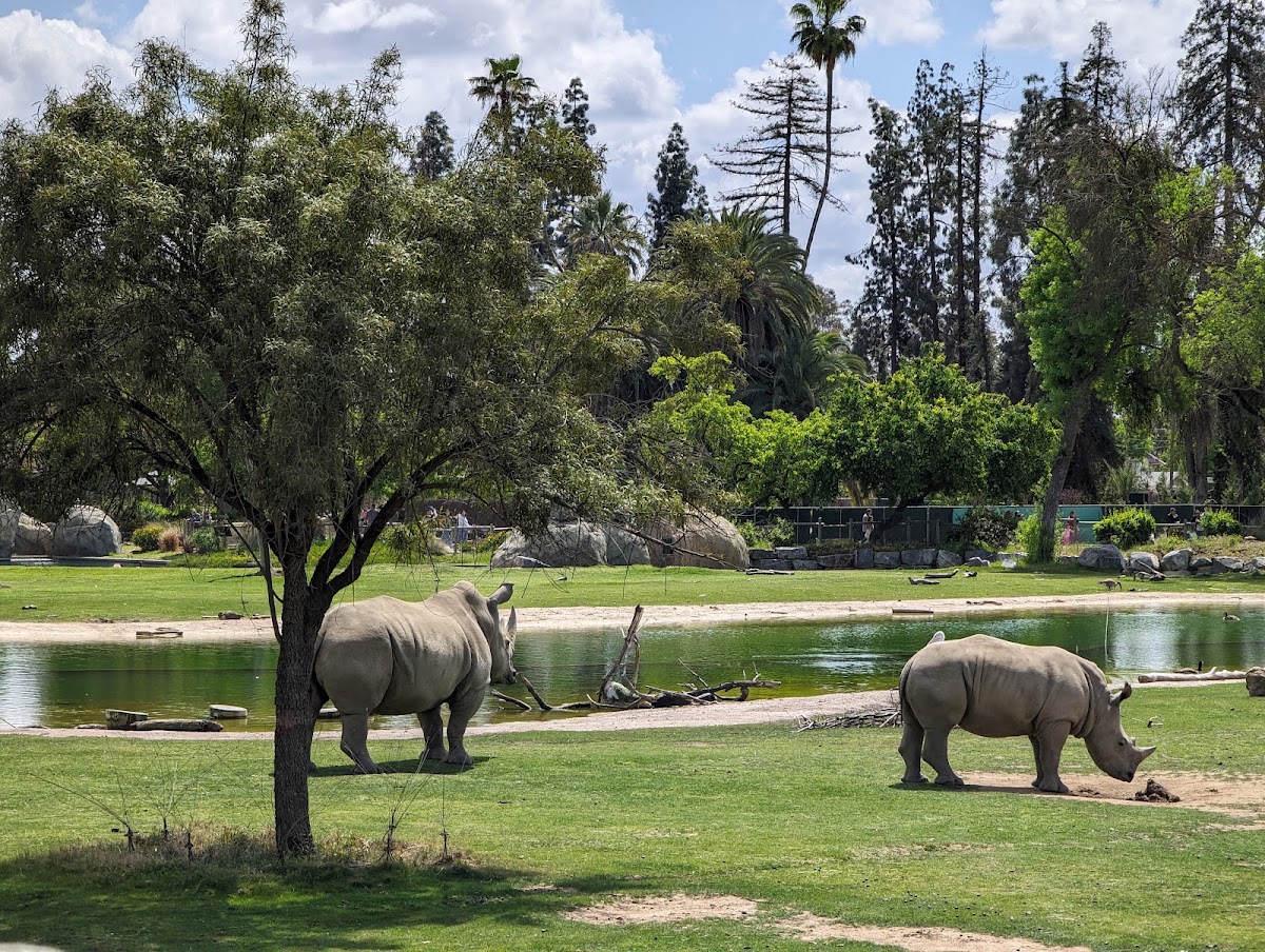 Roeding Park - Photo 2
