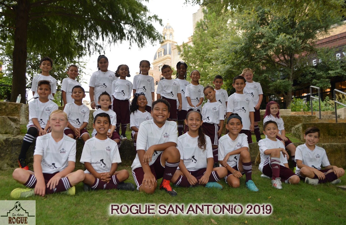 Rogue San Antonio - Photo 1