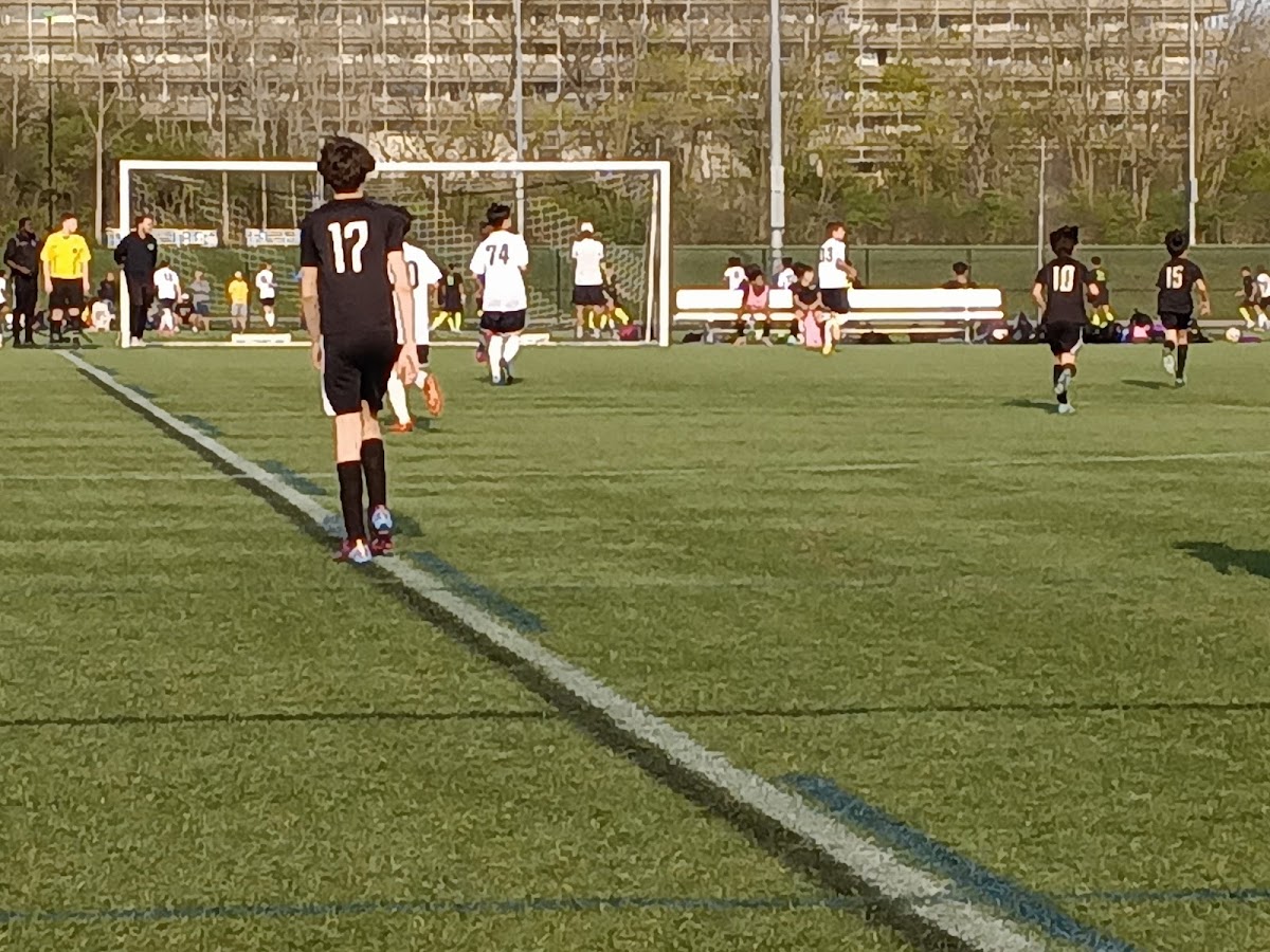 Rosedale Soccer League - Photo 2