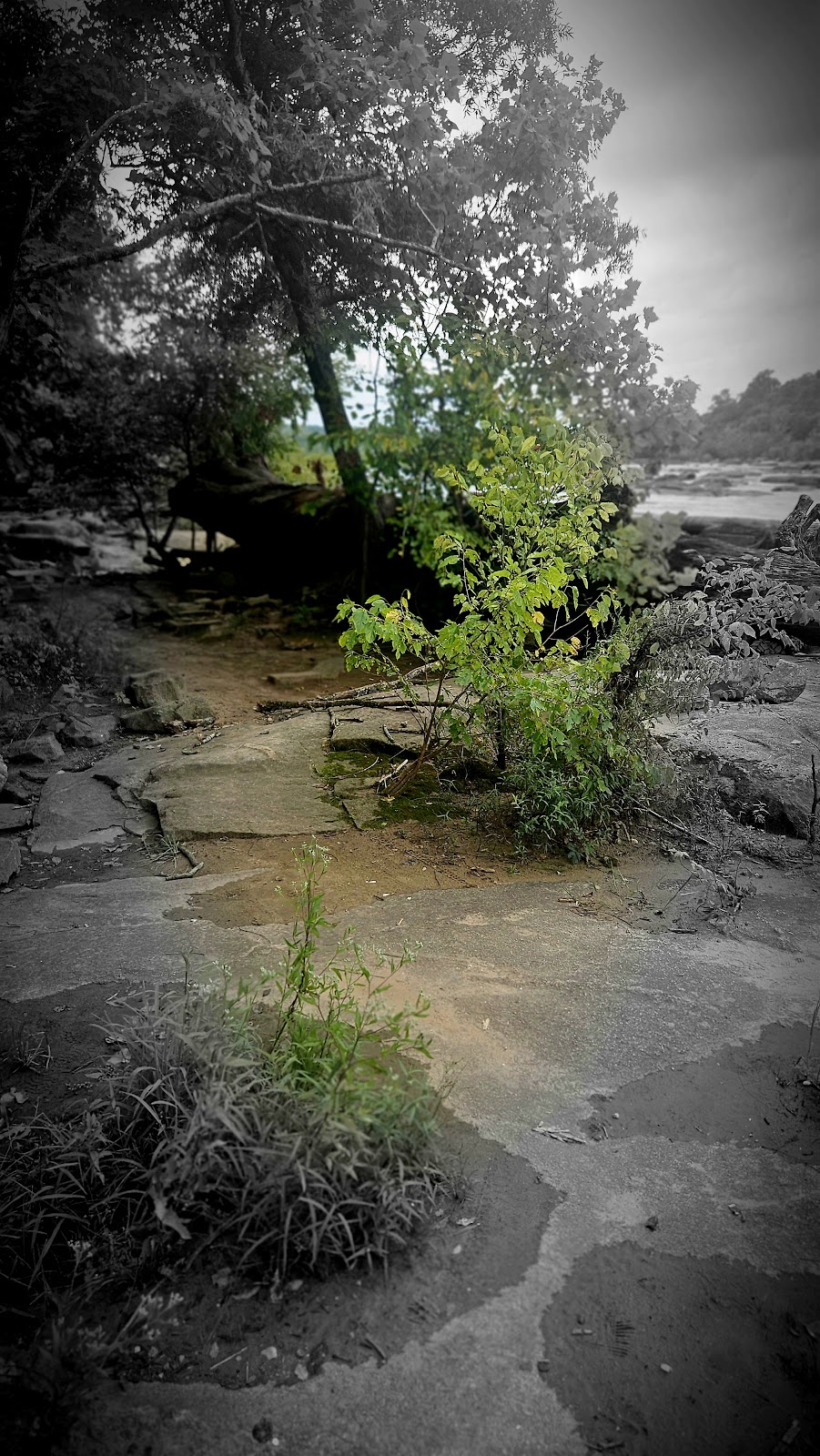 RVA Rock Climbing Wall- Viewpoint - Photo 3
