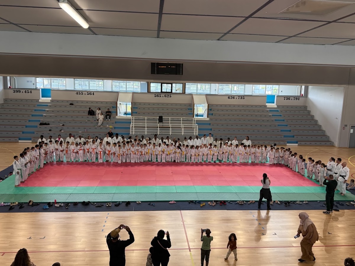Saint-Denis Union Sport – Judo - Photo 2