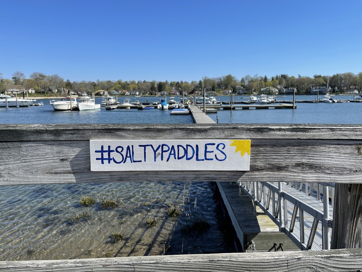 Salty Paddles & Co. - Photo 2