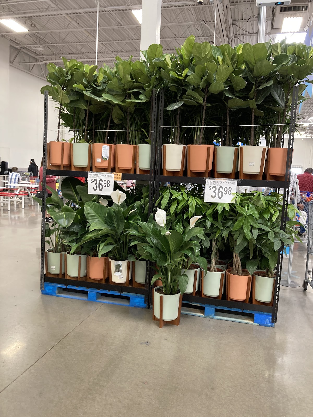 Sam's Club - Photo 3