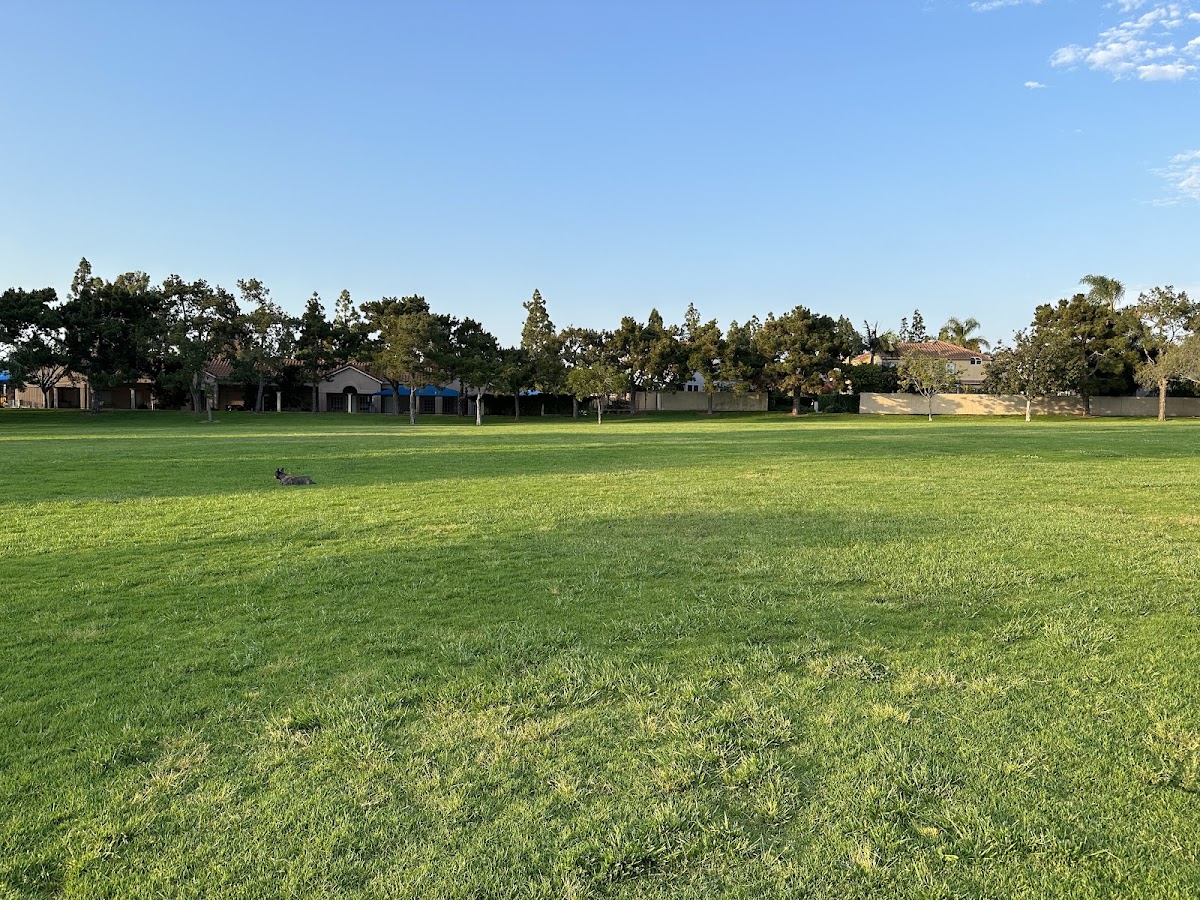 San Carlo Park - Photo 2