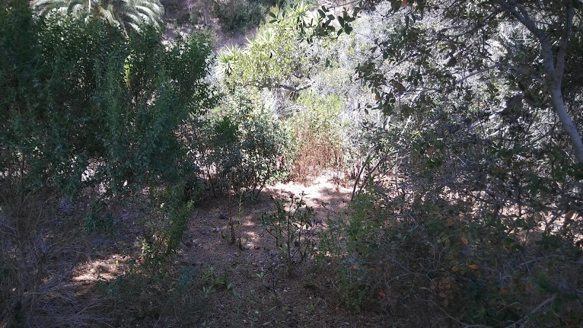 San Dieguito Tennis Club - Photo 1