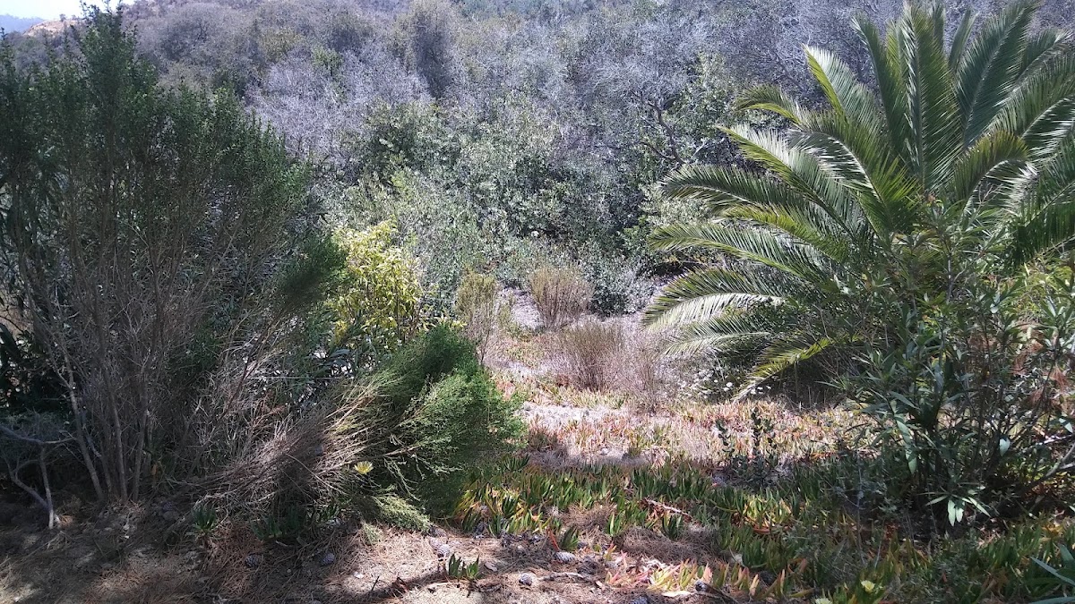 San Dieguito Tennis Club - Photo 3