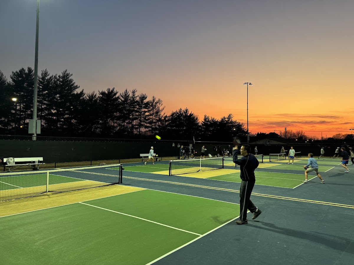 Sandra Moon - Pickleball Courts - Photo 2