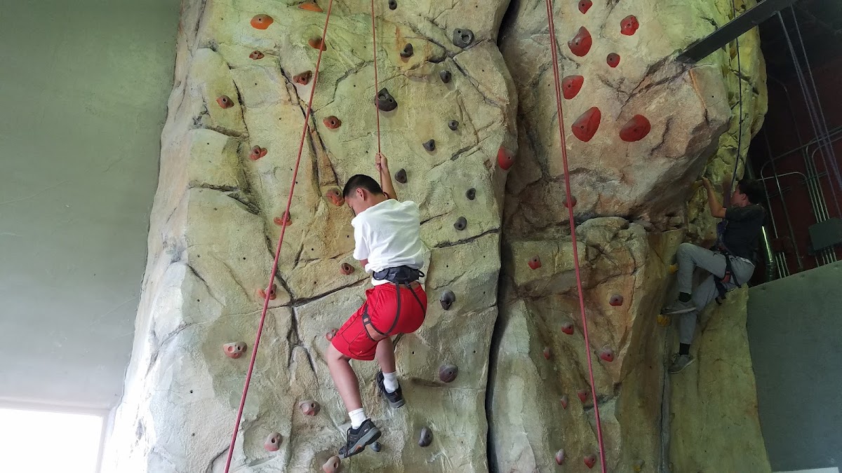Santa Barbara Rock Gym - Photo 2