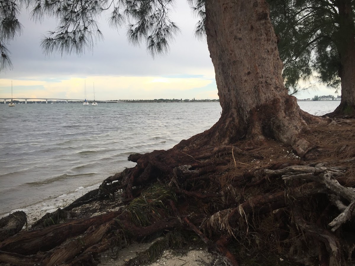 Sarasota Outboard Club - Photo 3