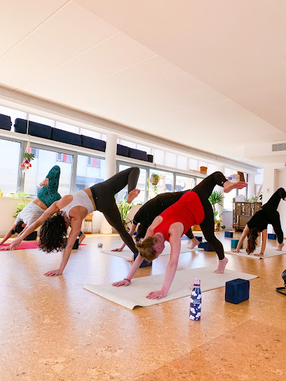 Sattvic Element Yoga Nantes - Photo principale
