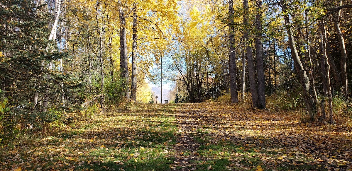 Scenic Park - Photo 3