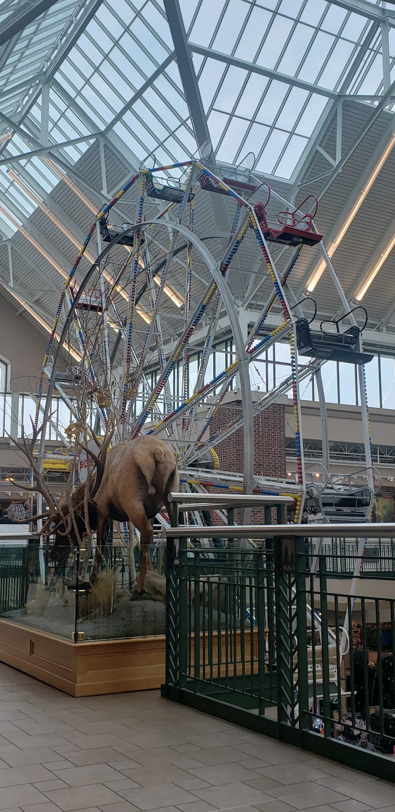 Scheels - Photo 3