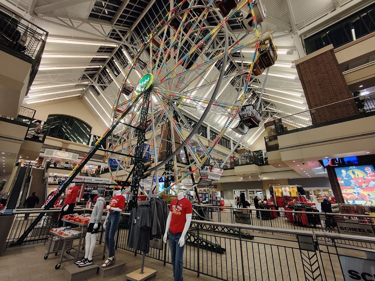 Scheels - Photo 2