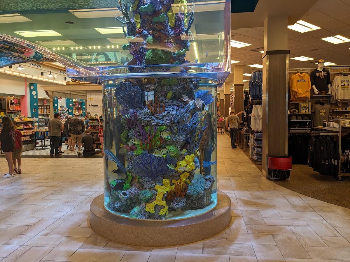Scheels - Photo 2